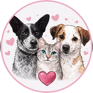 Cuori a 4 Zampe