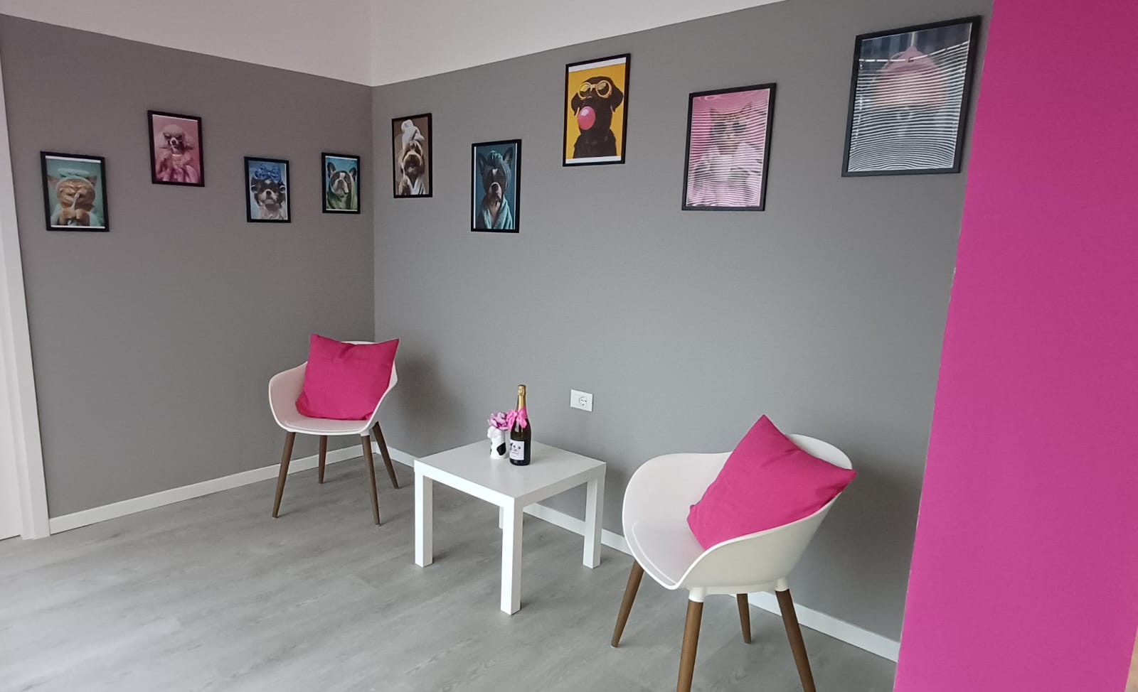 Zona di attesa del salone Cuori a 4 Zampe a Brugherio, comodo per chi arriva da Carugate