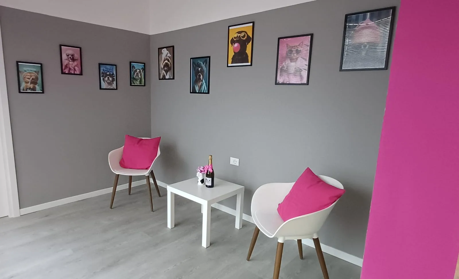 Zona di attesa del salone Cuori a 4 Zampe a Brugherio, comodo per chi arriva da Carugate